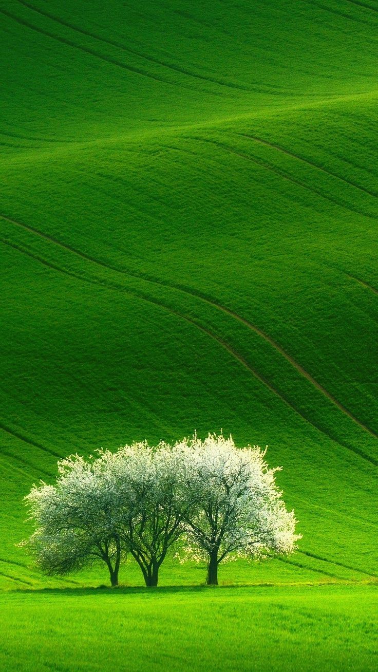 _ (1)